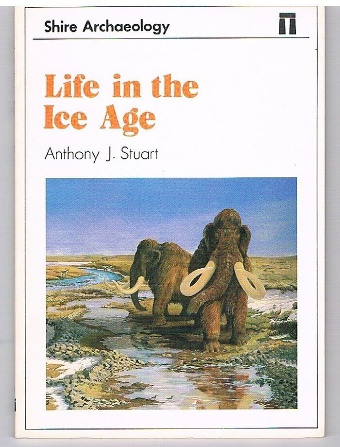 Life in the Ice Age.
 Image