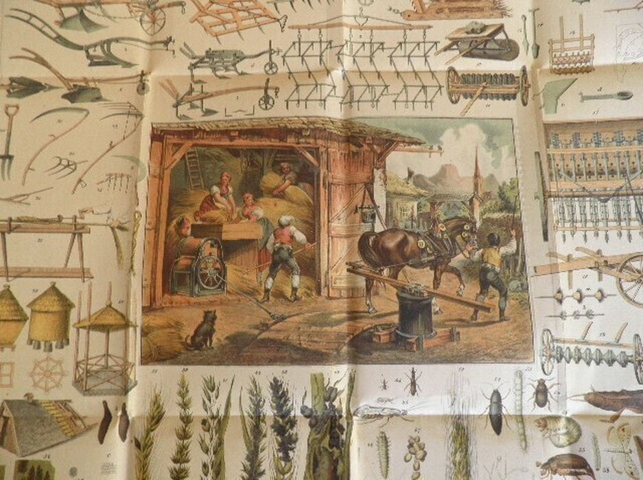 Landwirthschaftliche Tafeln.  XIV. Feldbau.
zusammengestellt und beschreiben. Poster Image