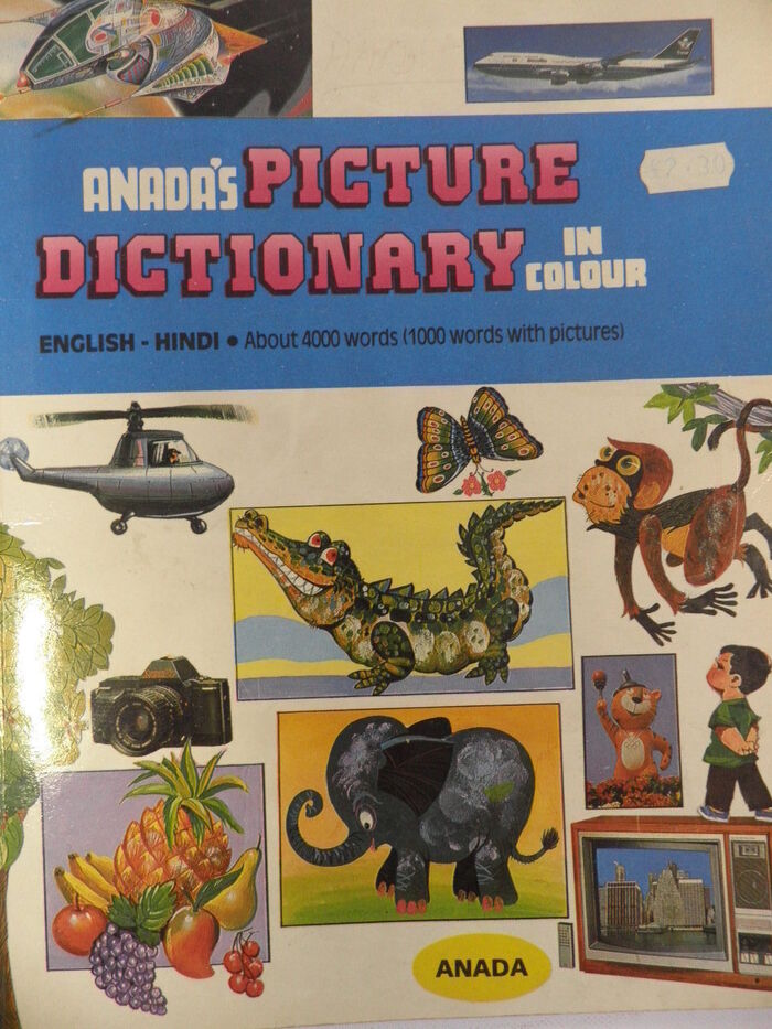 Anada's Picture Dictionary in Colour.  English-Hindi. About 4000 words (1000 words with pictures)
 Image