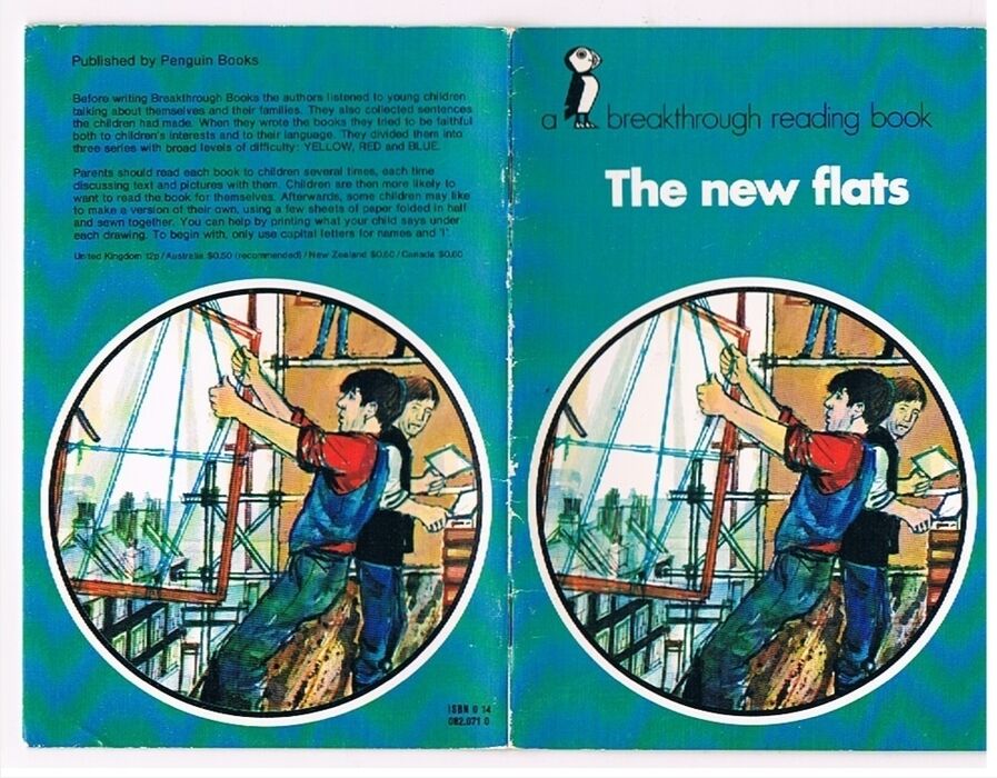 The New Flats
Blue Series. A Breakthrough Reading Book. Image