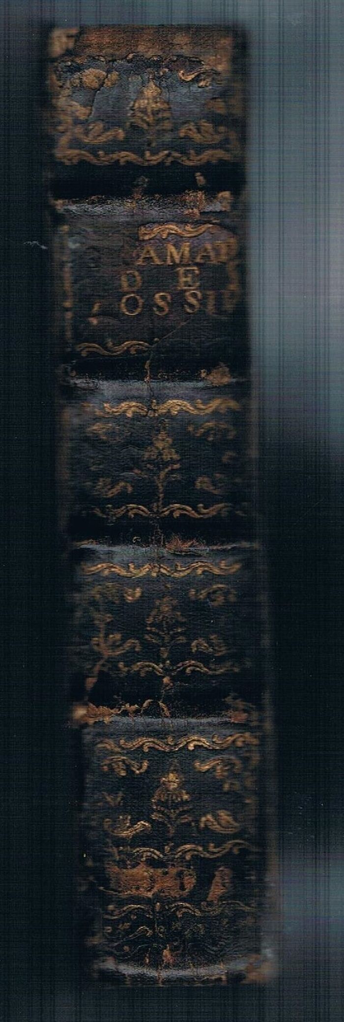 De Arte Grammatica Libri Septem [European universal language proposal]. (Later known as ‘Aristarchus’).
Liber Primus... de Artis huius Natura... De Literis, Liber Secundus: qui est de syllabis. Addenda, Index Libri Primi et Secundi, Corrigenda libro primo et secundo. De Vocum Analogia, et Anomalia, Liber Primus; sive commentariorum de Liber Tertius. Image