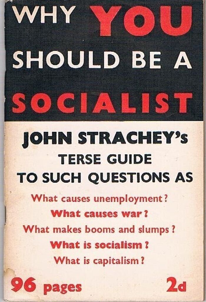 Why You should be a Socialist:
A Terse Guide to such Questions as: What causes unemployment? What makes booms and slumps? What causes war? What is capitalism? What is socialism. Image
