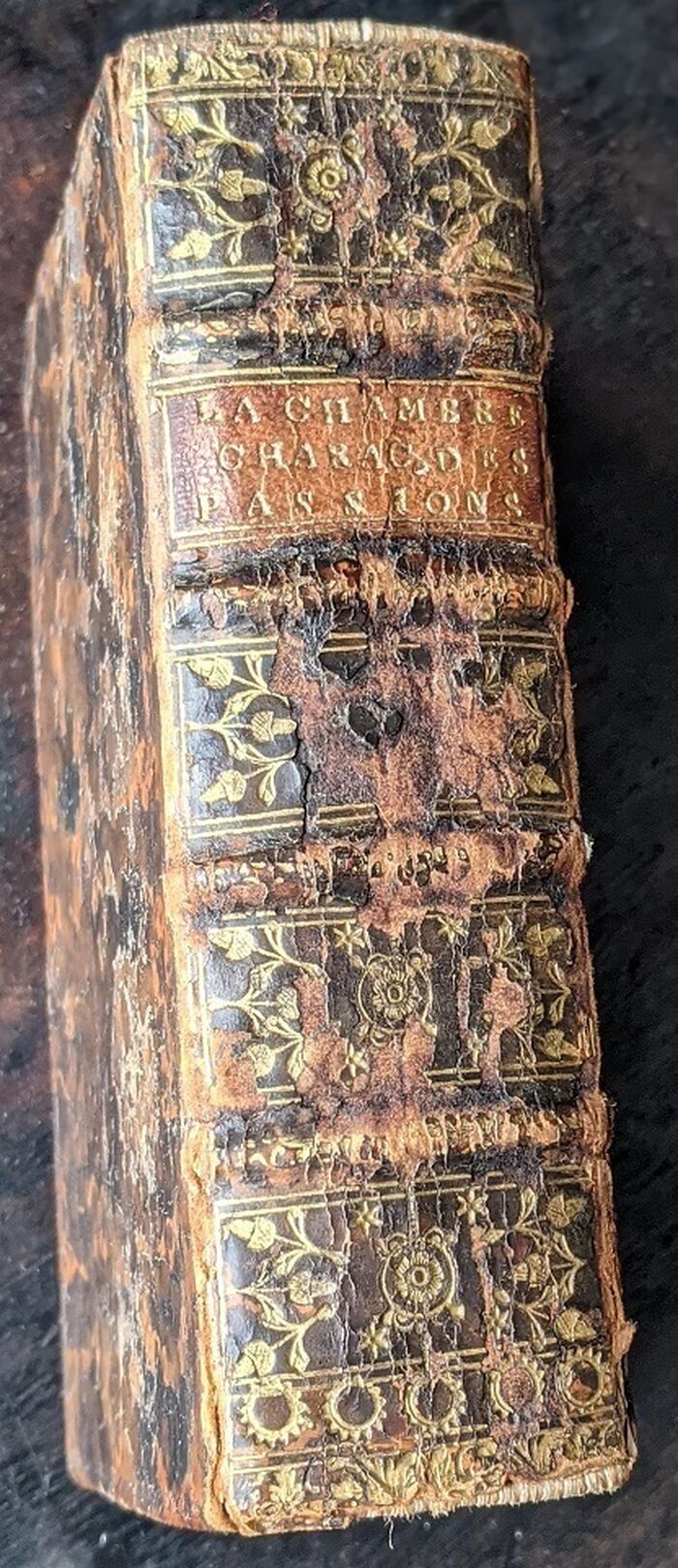 Les Charactères des Passions [vol I] The Characteristics of the Passions.
Les Charactères des Passions, Volume II où il est traitté de la Nature et des Effets des Passions Courageuses. Par le Sr. de la Chambre. Medecin de Monseigneur le Chancelier. Image