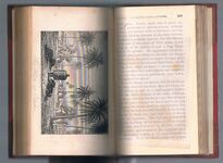 Journal of an Expedition to Explore the Course and Termination of The Niger;
with a Narrative of a Voyage Down That River to its Termination. In three volumes.  Illustrated with engravings and maps. Additional Image