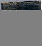 Cithara Sanctorum [Harp of the Saints]. Pisne Duchownj
