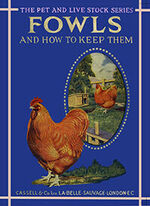 La Belle Sauvage  Fowls greeting card