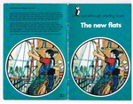 The New Flats
Blue Series. A Breakthrough Reading Book.