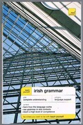 Teach Yourself.  Irish Grammar.

